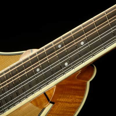 Bourgeois M5-A/NOS imagen 10