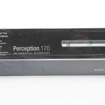 AKG Perception 170 Condenser Microphone and Audix XLR Cable #48043 image 8