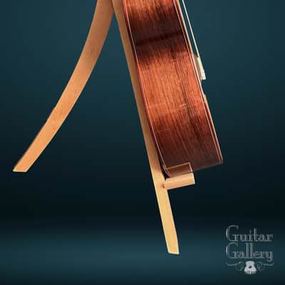 Kevin Ryan Guitars Mission Grand Concert 2002 image 12