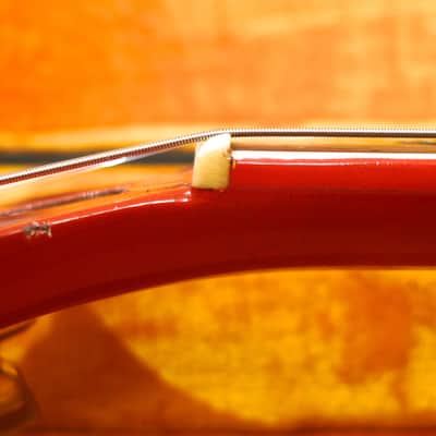 Gibson  Firebird III 1964 Cardinal Red image 19