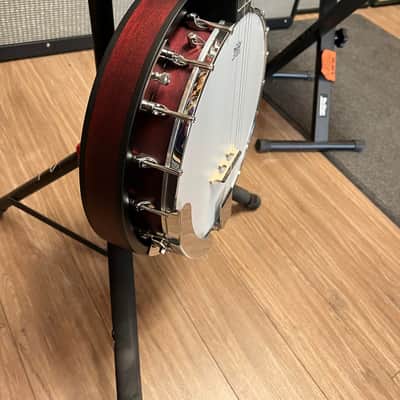 Washburn B8 Banjo Pack image 4