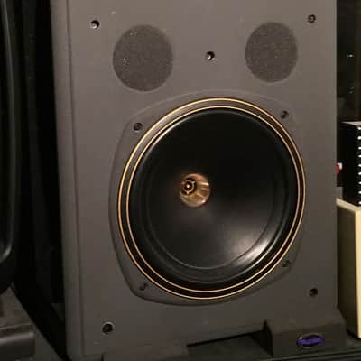 Tannoy System 10 DMT (Pair)- Large passive monitors! image 12