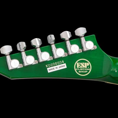 ESP customストラトタイプ ESP Guitars: Stef's Customs - Glow-In-The-Dark Baritone 8-String