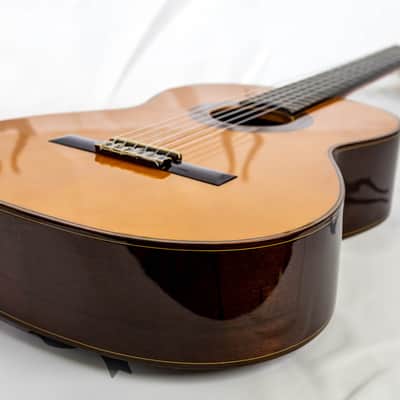 K. Teradaira 303P (Prime) - Yamaki Gakki - Niiburi Guitar 1982/1983 image 16