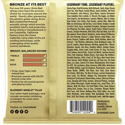 Ernie Ball EB 2004 Earthwood Bronze image 2