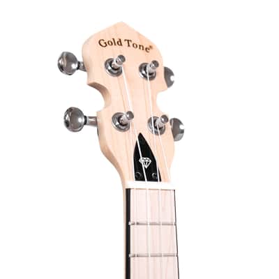 Gold Tone Little Gem (Sapphire): See-Through Banjo-Ukulele with Bag image 6
