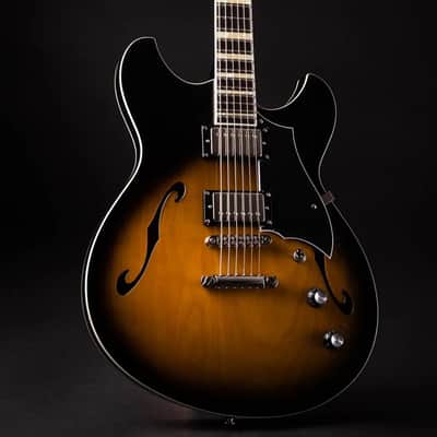 Rivolta Guitars Regata VII 2022 - Camino Burst image 1