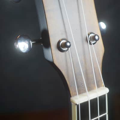 Brand New Gold Tone BUS: Soprano-Scale Banjo Ukulele with Hard-shelled Case imagen 8