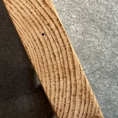 Fender American Professional II Telecaster guitar body image 5