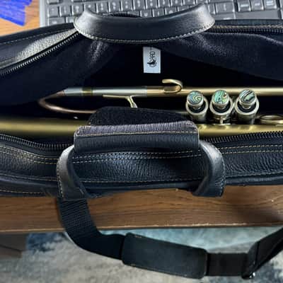 Gard Elite Black Leather Single Trumpet Gig Bag image 2