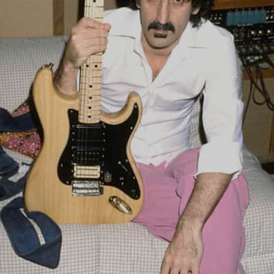Frank Zappa Personally Owned & Used Black Fender Stratocaster Pickguard image 12