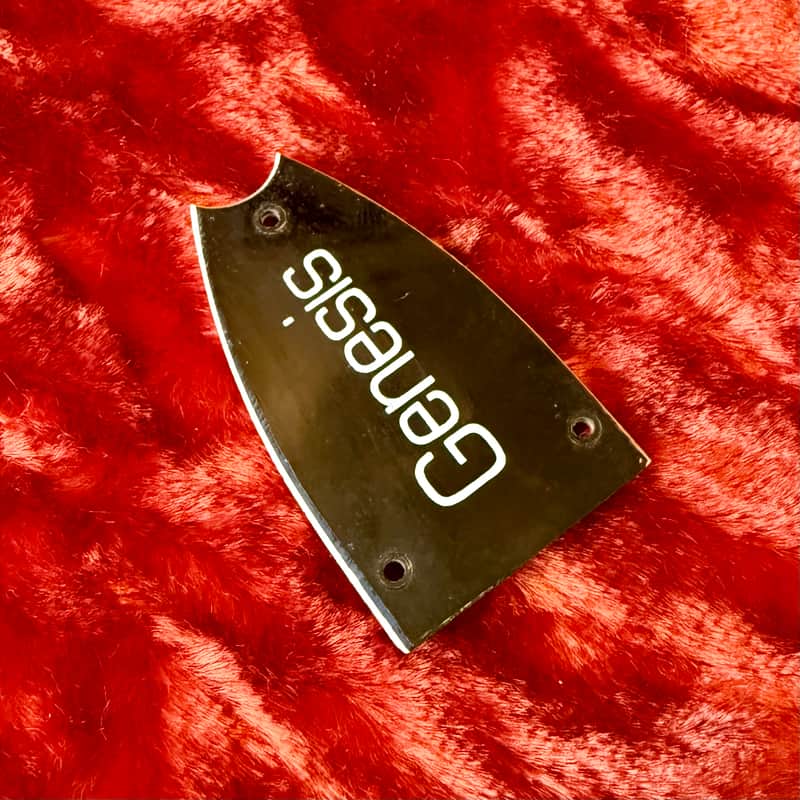 1980 Epiphone Genesis truss rod cover Black