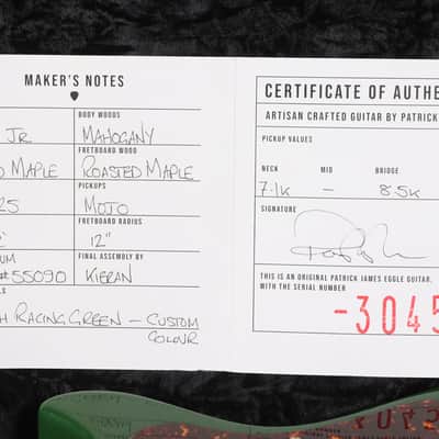 Patrick James Eggle Macon Jr - Relic Olive - 2nd Hand image 19