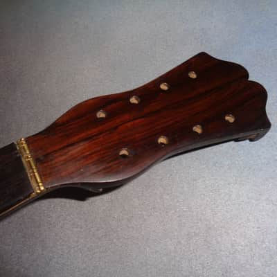 E. Zerega Bowlback Mandolin Brazilian 1900 image 3