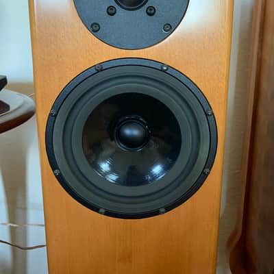 Vienna Acoustics Bach Baby Grand Floor Speakers Audiophile Sound Amazing! image 13