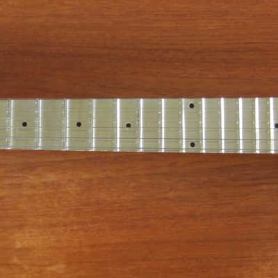 Rickenbacher A-25 Lap Steel Electric Guitar (Rickenbacker Frying Pan Fry A25) image 2
