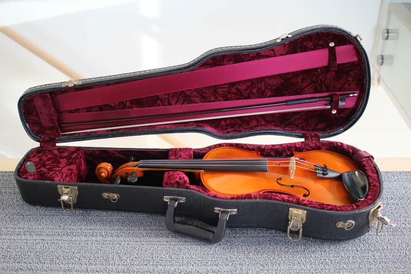 Josef Jan Dvorak 260 Handcrafted by Strunal in Luby 4/4 Violin w