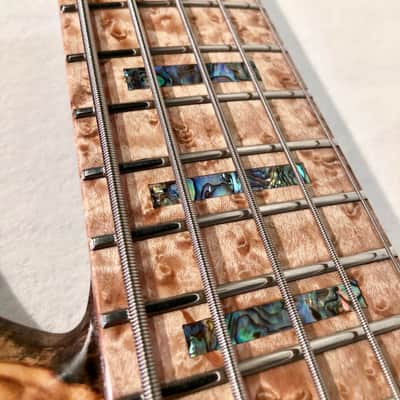 Warrior Dran Michael Buckeye Burl 5 String - Showroom Demo image 6