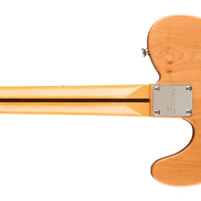 SQUIER - Classic Vibe 70s Telecaster Thinline  Maple Fingerboard  Natural - 0374070521 image 2