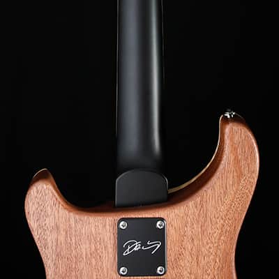 Paul Reed Smith DW CE 24 Floyd Dustie Waring Signature Black Top image 16