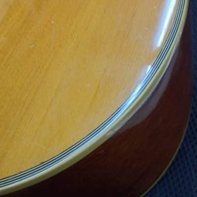 Ibanez Artwood AW Series Dreadnought 1996 - Natural image 12