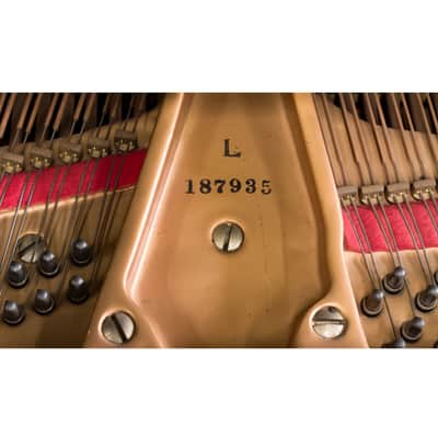 Baldwin Artist Series Grand Piano – Model L (6’3”) Matte Ebony image 7