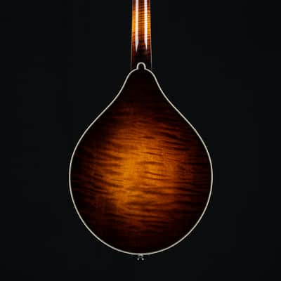 Collings MT2 O Adirondack Spruce and Flamed Maple 1-Piece Back Sunburst Mandolin NEW image 3