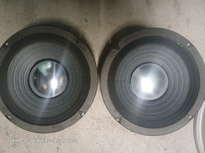 8" 16 OHM SPEAKERS 2 AVAILABLE DB DRIVE G2 *READ THE DESCRIPTION* AMPEG KUSTOM FENDER CRATE ROLAND 16 OHMS POWERHOUSES! PMR SPEAKERS HOT-RODDED image 1