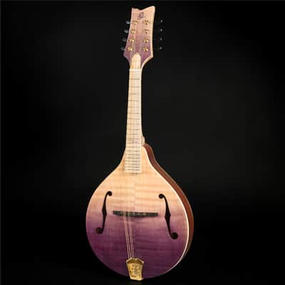 Ortega RMA200PF Americana Series A-Style Mandolin + Croco Leather Case image 5