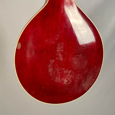 Gibson A-4 Mandolin 1913 Blacktop image 21