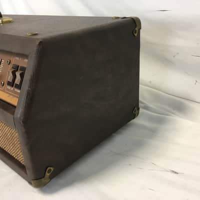 Vintage Acoustic 250 Head image 6