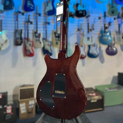 PRS Wood Library DGT 2025 - Custom Color, 10 Top, Ziricote Board, PRS Paisley Case 558 image 12
