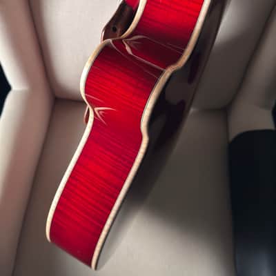 Tad Brown Archtop 16" Acoustic Calton Case image 12
