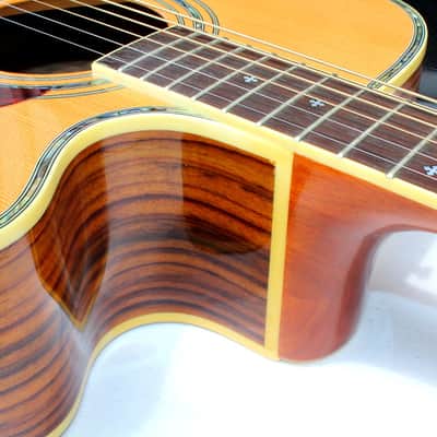 Zager Zad-80ce acoustic electric guitar cutaway w/ Zager Case image 8