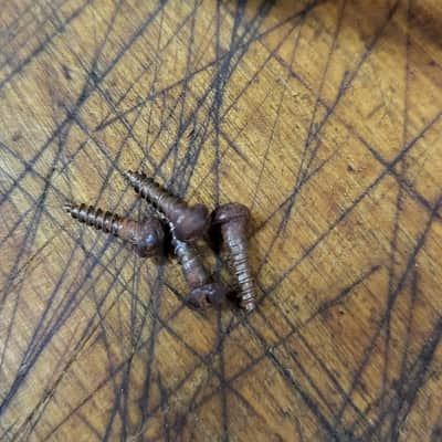 Vintage RARE 1936 Original Cowboy Guitar Tailpiece with Installation Screws Stella Parlor Luthier Parts image 5