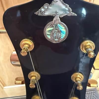 Alembic Jerry Garcia Tribute Coco Bolo LED image 14