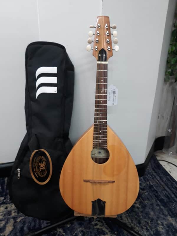 Michael Mederios Mandolin imagen 1