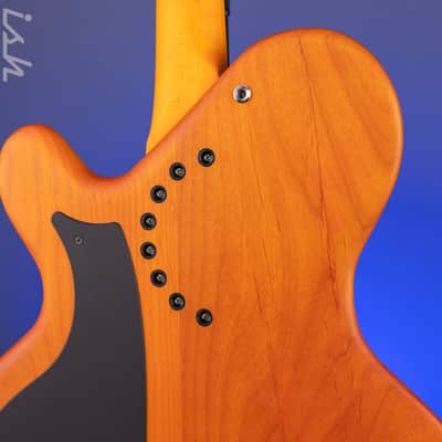 2021 Ritter Princess Isabella Bass Orange Honey image 9