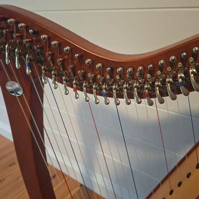 CAMAC 22 string Bardic 2015-2020 - Wood image 6