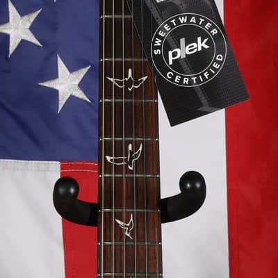 PRS Swamp Ash Special Maple - Black Doghair Smokeburst image 3