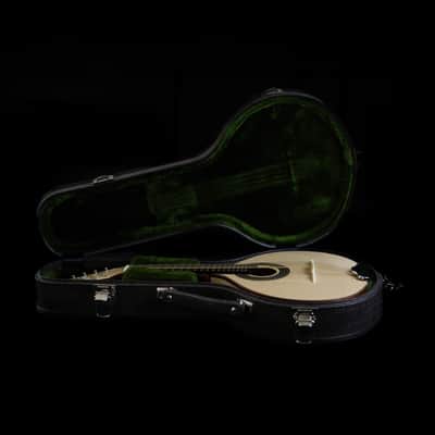 Pedro Santos 8-String Mandolin | Brazil 2025 image 3
