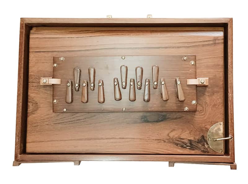 Shruti Box,  Original Palitana Bronze Reeds, Wood Stoppers, Wood Stands, Full Teakwood, 440Hz Deluxe. USA TARIFF INCLUDED image 1
