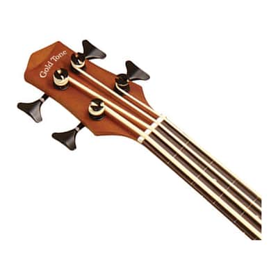 Gold Tone M-Bass25/FL Fretless 25.5" Scale Microbass - Open Box image 4