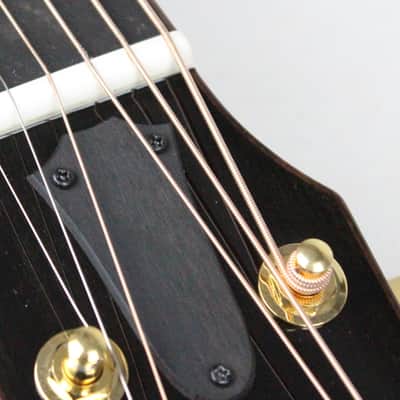 2025 Taylor 914CE Legacy Model Flower Inlays Grand Auditorium MINT ~Ebony Fretboard~ +OHSC USA image 21