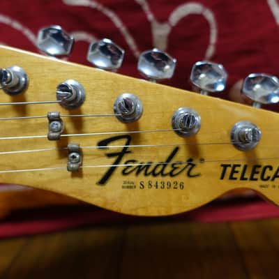 1981 Fender Telecaster with Maple Fretboard Blonde Yamano image 11