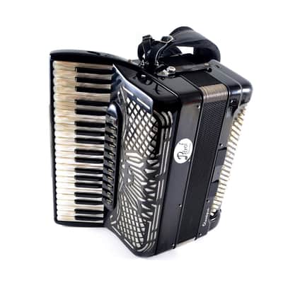 Immagine S.E.M Recanati “Piermaria Classique” Cassotto Accordion 120 Bass (41 Keys, LMMM) – Case, Brand New Straps, Musette – Certified + Video - 3