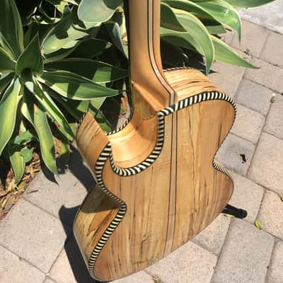 Pasaye Spalted Maple Natural image 6
