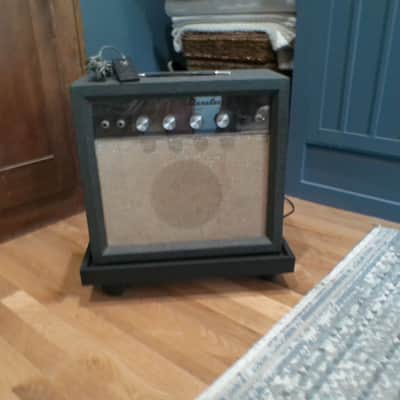 Danelectro DM10 Combo Tube Amp image 5