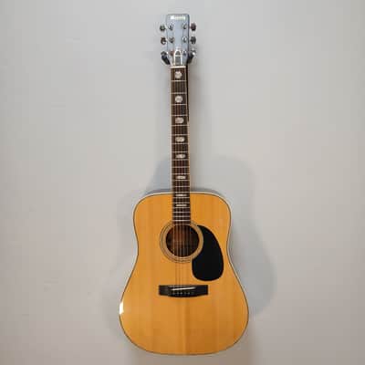Vintage 1973 Morris W-40 Dreadnought w/ Original Hard Shell Case image 3