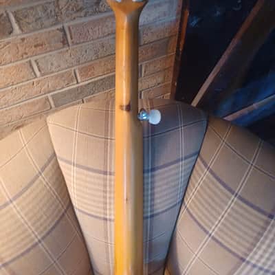 Tut Taylor Tennessee 5 String Banjo image 5